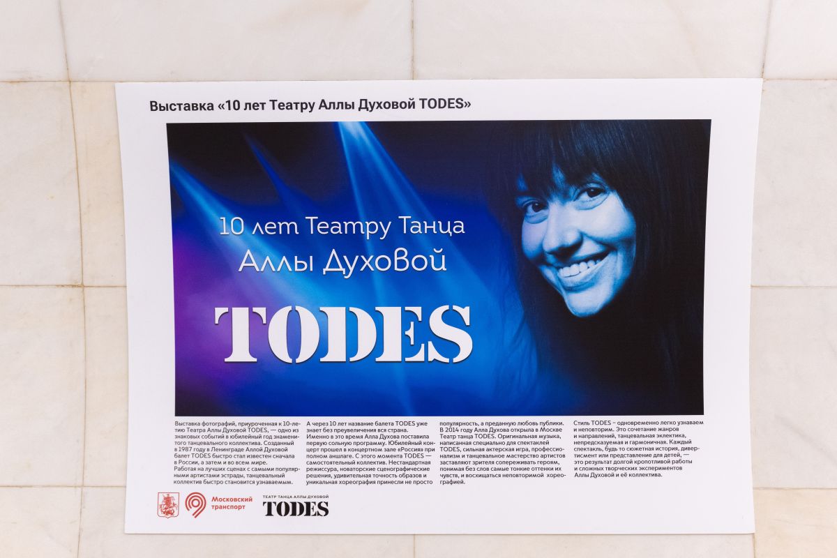 Яркие впечатления: в московском метро открылась выставка к 10-летию Театру TODES