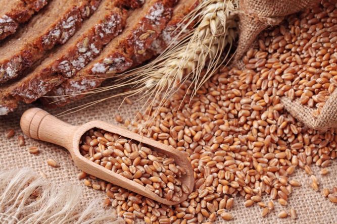 Колонка доктора Элькина: Миф о пользе зернового хлеба и отрубей
