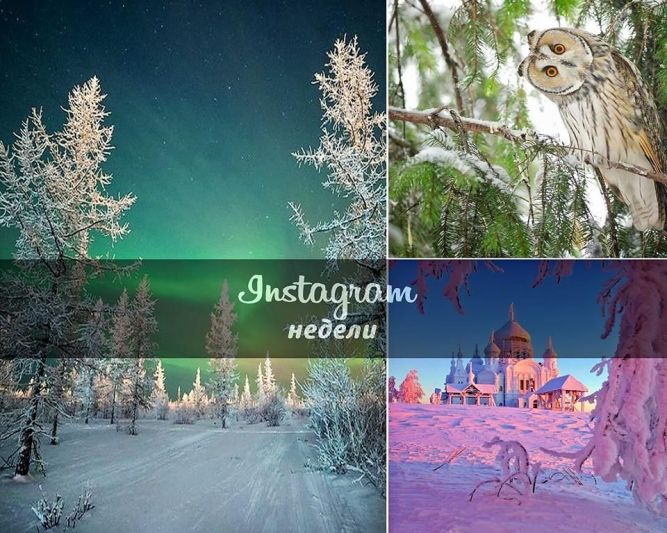 Instagram недели: патриотичный @nature.russia