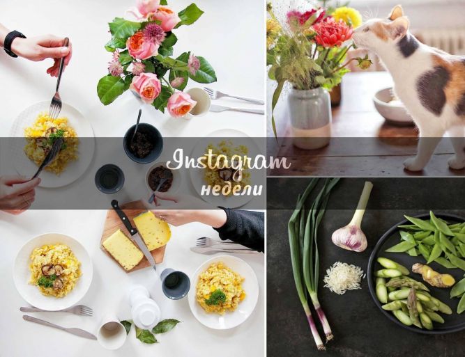 Instagram недели: еда как искусство от @_foodstories_